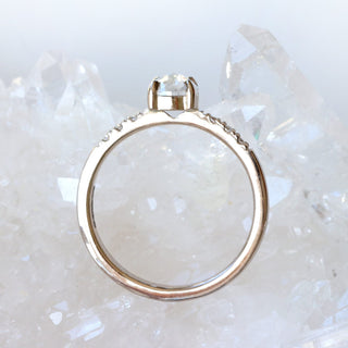 Custom 18ct White Gold Solitaire Diamond Pavé Engagement Ring